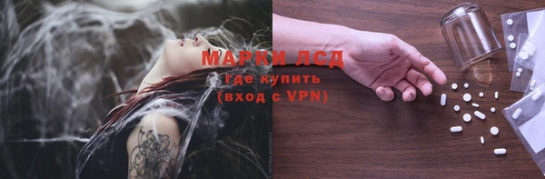 индика Корсаков