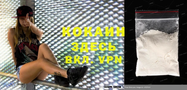 индика Корсаков