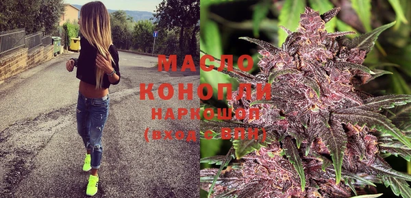 индика Корсаков