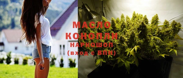 индика Корсаков