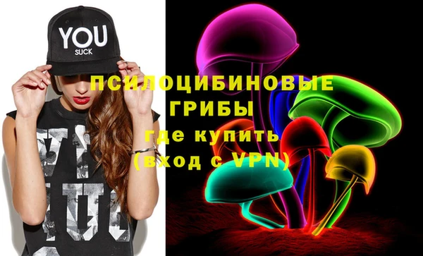 индика Корсаков