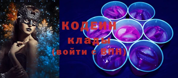 индика Корсаков