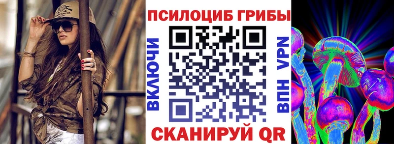 Галлюциногенные грибы GOLDEN TEACHER  Купить где  Борисоглебск 